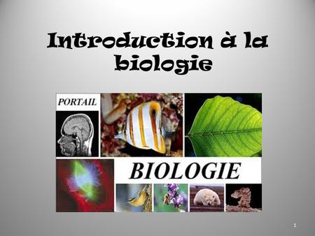 Introduction à la biologie