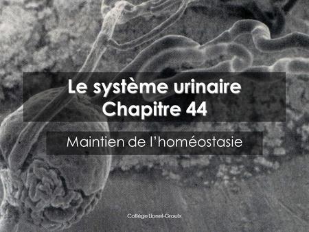 Le système urinaire Chapitre 44