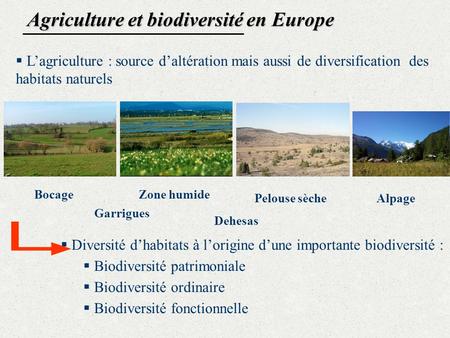 Agriculture et biodiversité en Europe