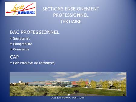 SECTIONS ENSEIGNEMENT PROFESSIONNEL TERTIAIRE