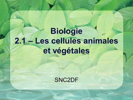 Biologie 2.1 – Les cellules animales et végétales
