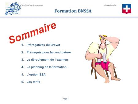 Sommaire Formation BNSSA Prérogatives du Brevet