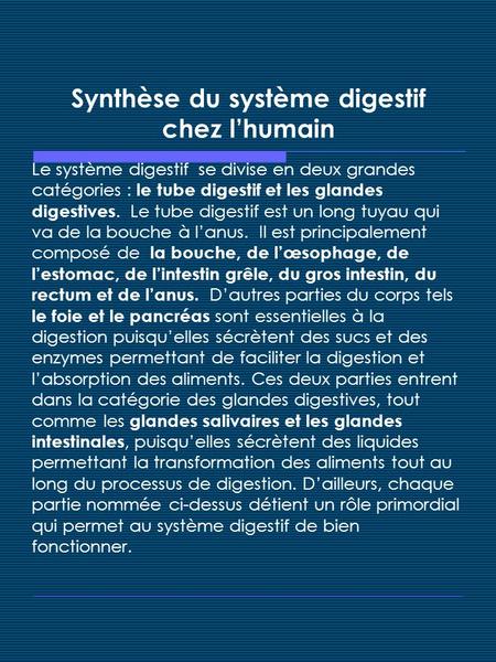 Synthèse du système digestif chez l’humain