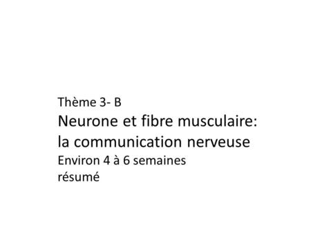 Neurone et fibre musculaire: la communication nerveuse