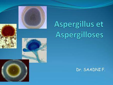 Aspergillus et Aspergilloses