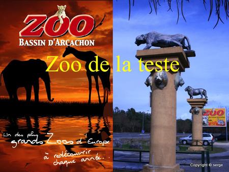Zoo de la teste Sur 14 hectares arborés, près de 4 km de visite feront découvrir aux petits et grands, l’univers Fascinant du monde animal, tout au long.