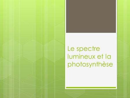 Le spectre lumineux et la photosynthèse
