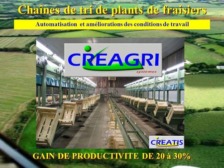 Chaînes de tri de plants de fraisiers GAIN DE PRODUCTIVITE DE 20 à 30% Automatisation et améliorations des conditions de travail.