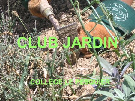 CLUB JARDIN COLLEGE LE PESQUIER.