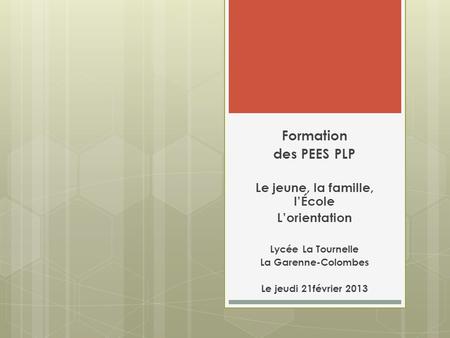 Formation des PEES PLP Le jeune, la famille, l’École L’orientation Lycée La Tournelle La Garenne-Colombes Le jeudi 21février 2013.