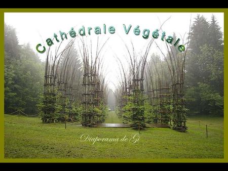Diaporama de Gi Cette majestueuse cathédrale végétale est un véritable lieu de recueillement pour les amoureux de la nature Giuliano, un artiste italien,