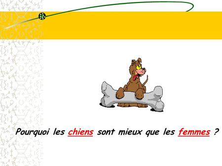 Pourquoi les chiens sont mieux que les femmes ?. 2) [ Ton chien te trouve rigolo quand tu es bourré ] 3 ) [ Tu peux parler des heures à ton chien sans.