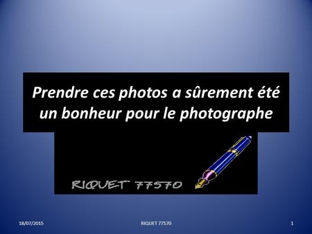 Prendre ces photos a sûrement été un bonheur pour le photographe 18/07/20151RIQUET 77570.