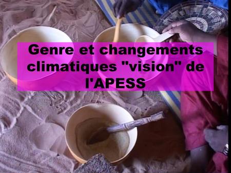 Genre et changements climatiques vision de l'APESS.