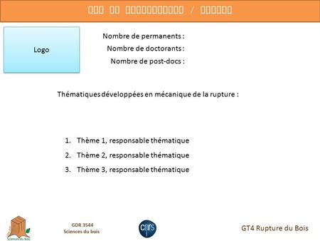 GT4 Rupture du Bois Nom du Laboratoire / Equipe Nombre de permanents : Logo Nombre de doctorants : Nombre de post-docs : Thématiques développées en mécanique.