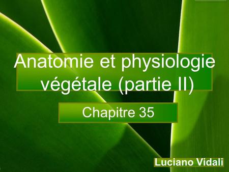 Anatomie et physiologie végétale (partie II)