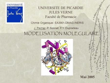 UNIVERSITE DE PICARDIE JULES VERNE Faculté de Pharmacie