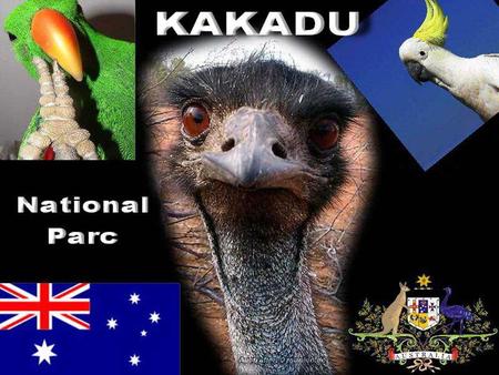 Gary Le parc national de Kakadu est situé à 250 km de Darwin sur la Arnhem Highway. De rugueux escarpements, des marécages denses, des gorges plongeantes.
