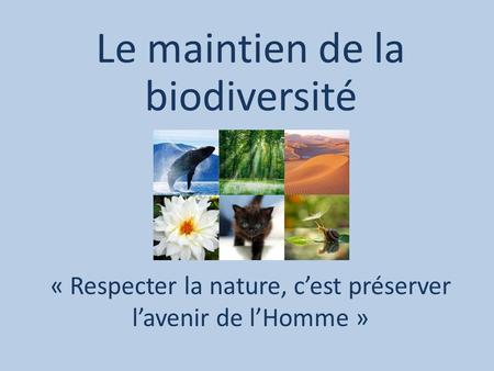 « Respecter la nature, c’est préserver l’avenir de l’Homme »