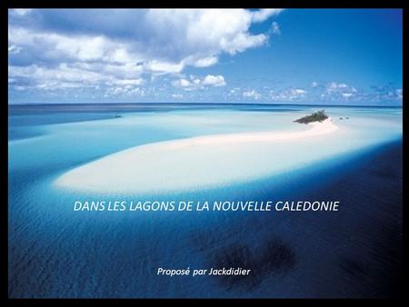 DANS LES LAGONS DE LA NOUVELLE CALEDONIE Proposé par Jackdidier.