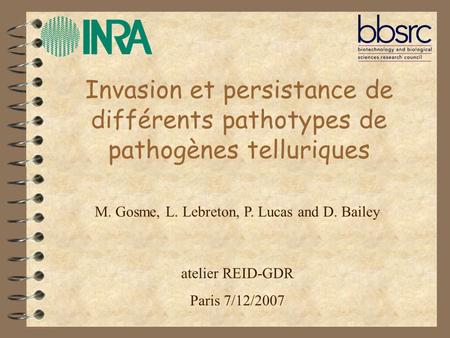Invasion et persistance de différents pathotypes de pathogènes telluriques M. Gosme, L. Lebreton, P. Lucas and D. Bailey atelier REID-GDR Paris 7/12/2007.