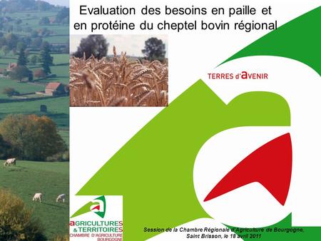 Evaluation des besoins en paille et en protéine du cheptel bovin régional Session de la Chambre Régionale d’Agriculture de Bourgogne, Saint Brisson, le.
