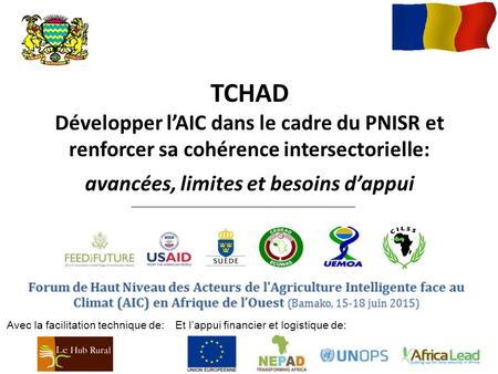TCHAD Développer l’AIC dans le cadre du PNISR et renforcer sa cohérence intersectorielle: avancées, limites et besoins d’appui Avec la facilitation technique.