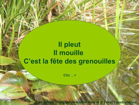 C’est la fête des grenouilles