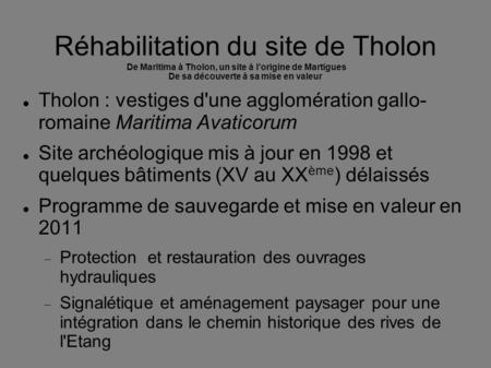 Réhabilitation du site de Tholon De Maritima à Tholon, un site à l’origine de Martigues De sa découverte à sa mise en valeur Tholon : vestiges d'une agglomération.