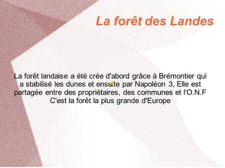 La forêt des Landes La forêt landaise a été crée d'abord grâce à Brémontier qui a stabilisé les dunes et ensuite par Napoléon 3, Elle est partagée entre.