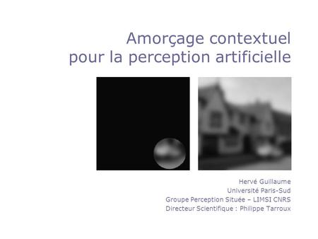 Hervé Guillaume Université Paris-Sud Groupe Perception Située – LIMSI CNRS Directeur Scientifique : Philippe Tarroux Amorçage contextuel pour la perception.