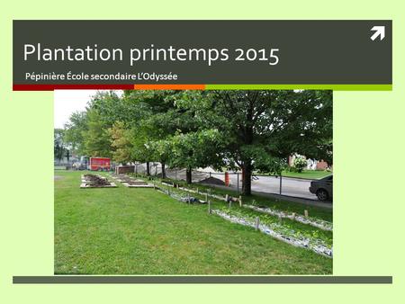  Plantation printemps 2015 Pépinière École secondaire L’Odyssée.