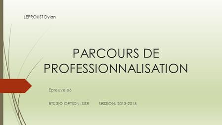 PARCOURS DE PROFESSIONNALISATION