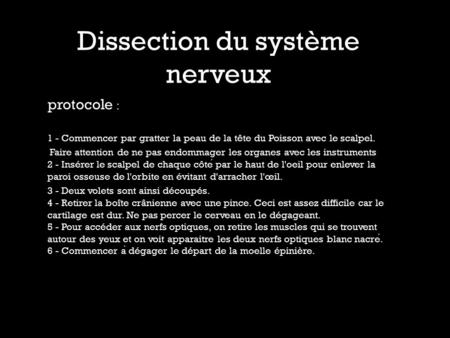 Dissection du système nerveux