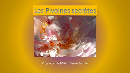 Les Pivoines secrètes Proposé par Jackdidier. Texte de Marie L.