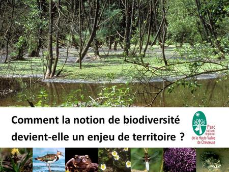 Comment la notion de biodiversité devient-elle un enjeu de territoire ?
