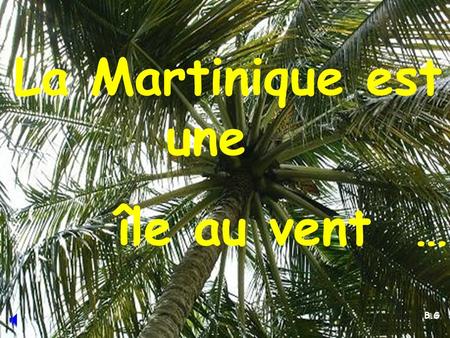 La Martinique est une île au vent …