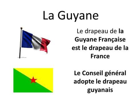 Le Conseil général adopte le drapeau guyanais
