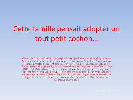 Cette famille pensait adopter un tout petit cochon…