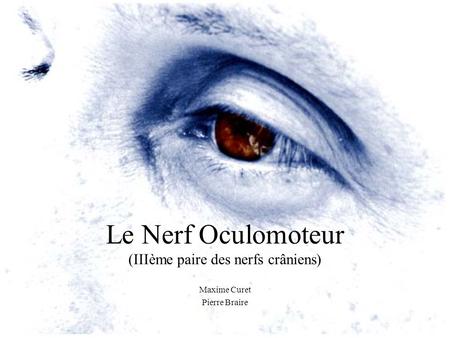 Le Nerf Oculomoteur (IIIème paire des nerfs crâniens)