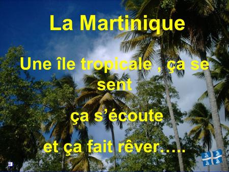 Une île tropicale, ça se sent ça s’écoute et ça fait rêver….. La Martinique.
