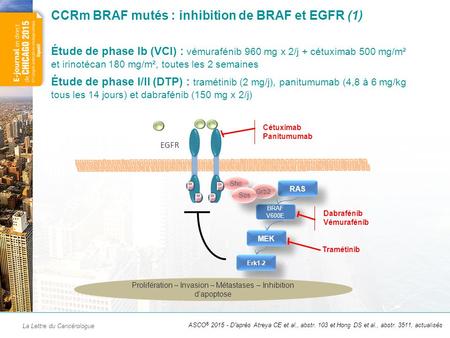CCRm BRAF mutés : inhibition de BRAF et EGFR (2)