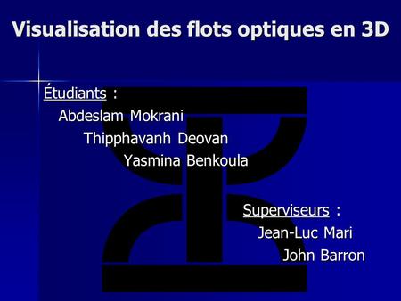 Visualisation des flots optiques en 3D