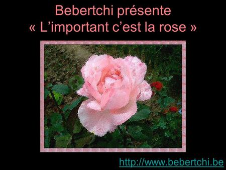Bebertchi présente « L’important c’est la rose »