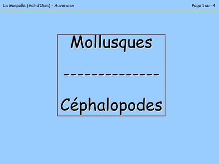 Mollusques Céphalopodes