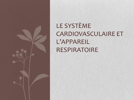 Le système cardiovasculaire et l’appareil respiratoire