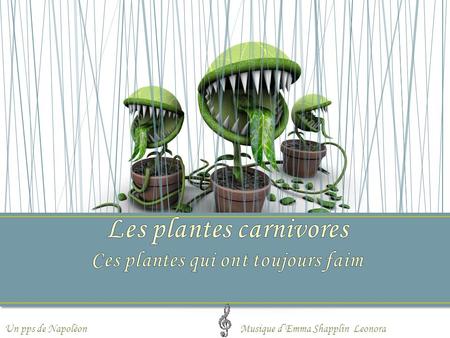 Les plantes carnivores Ces plantes qui ont toujours faim