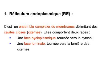 Réticulum endoplasmique (RE) :