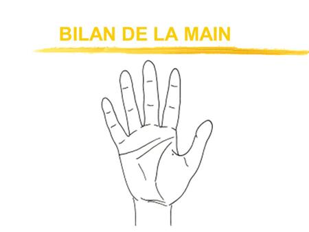 BILAN DE LA MAIN.
