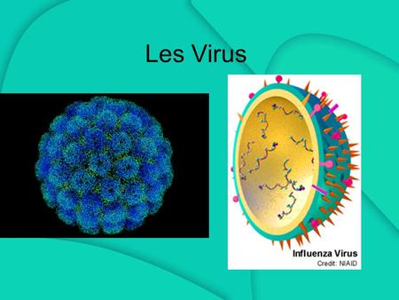 Les Virus.